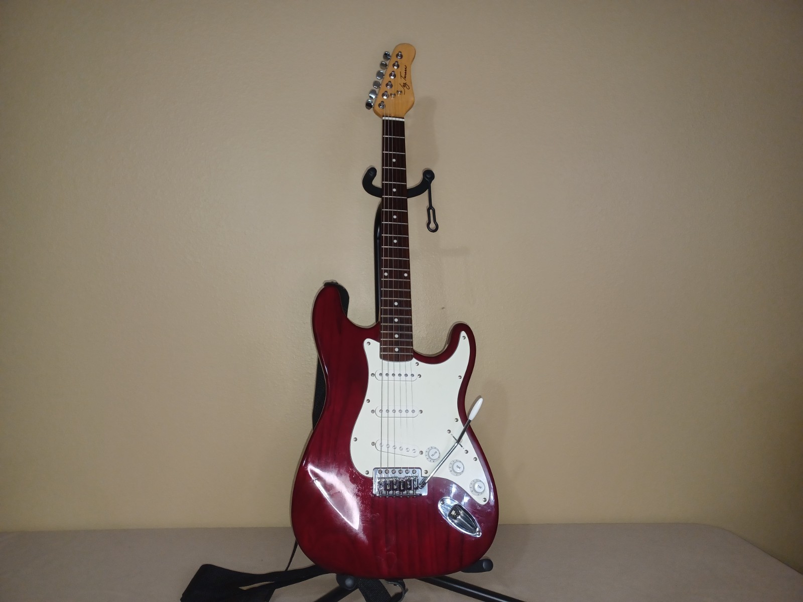 Jay Turser JT300 Red Stratocaster with Gig Bag New Strings Tremolo Arm #068