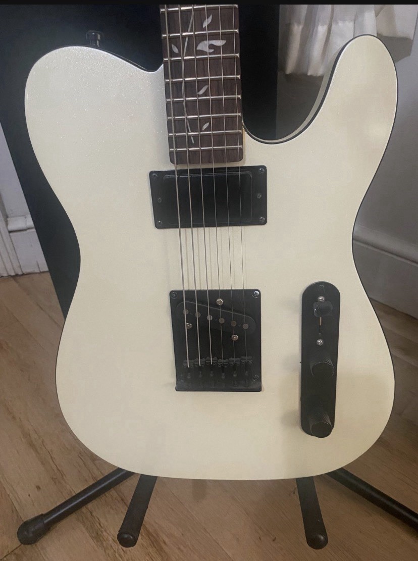 2022 Custom Fender Tele(parts)caster