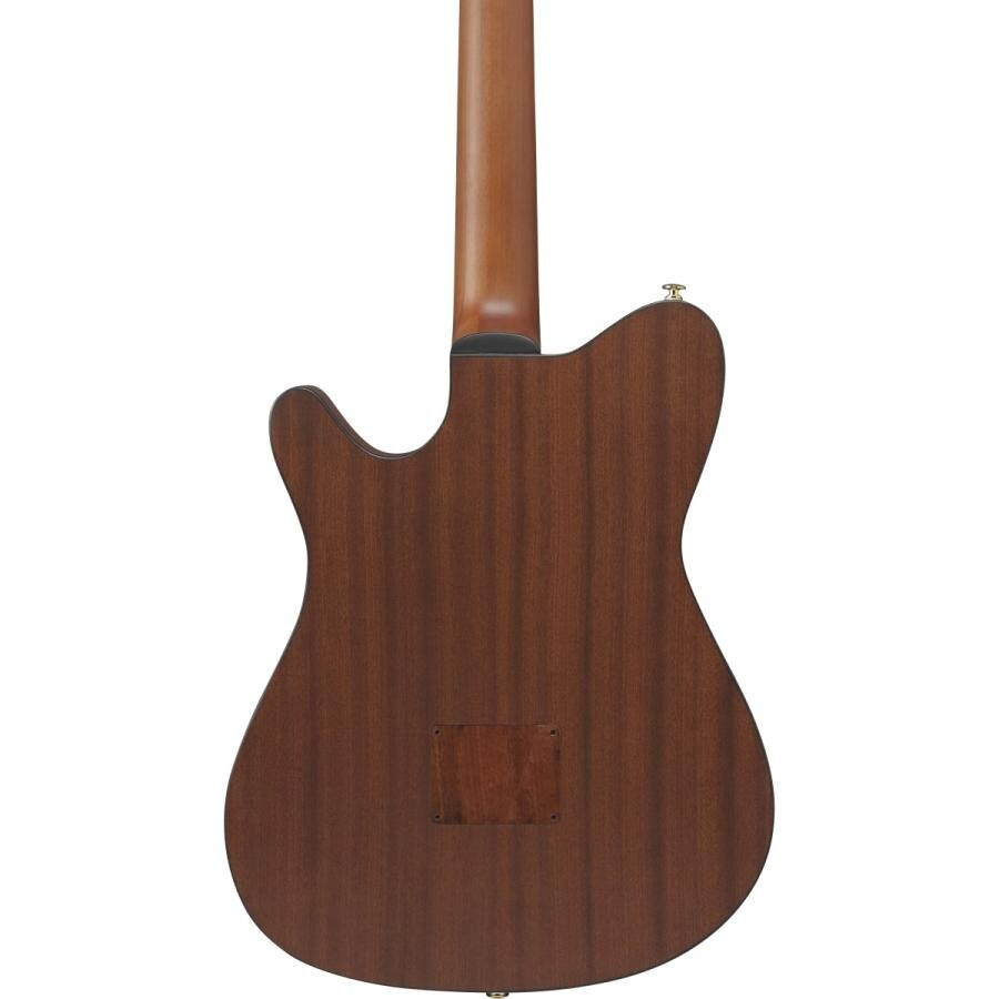 Ibanez FRH10N-NTF Nylon Electric Guitar Natural Flat FR Hollow Body with Gig Bag