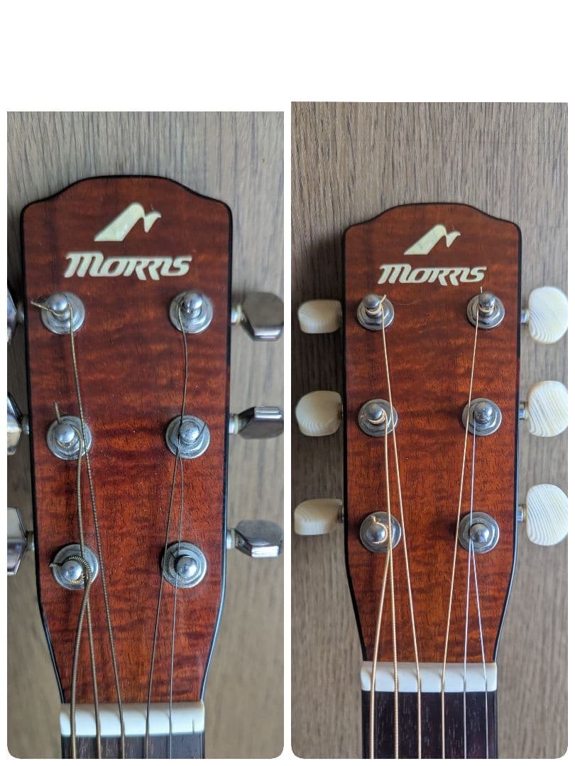 Rare Morris MF-702 MIJ Acoustic Guitar Solid Spruce Top Hawaiian Koa w/ Case