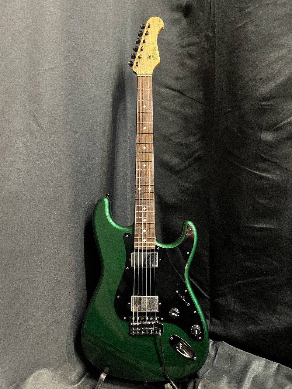 FUJIGEN FGN NCST CTM