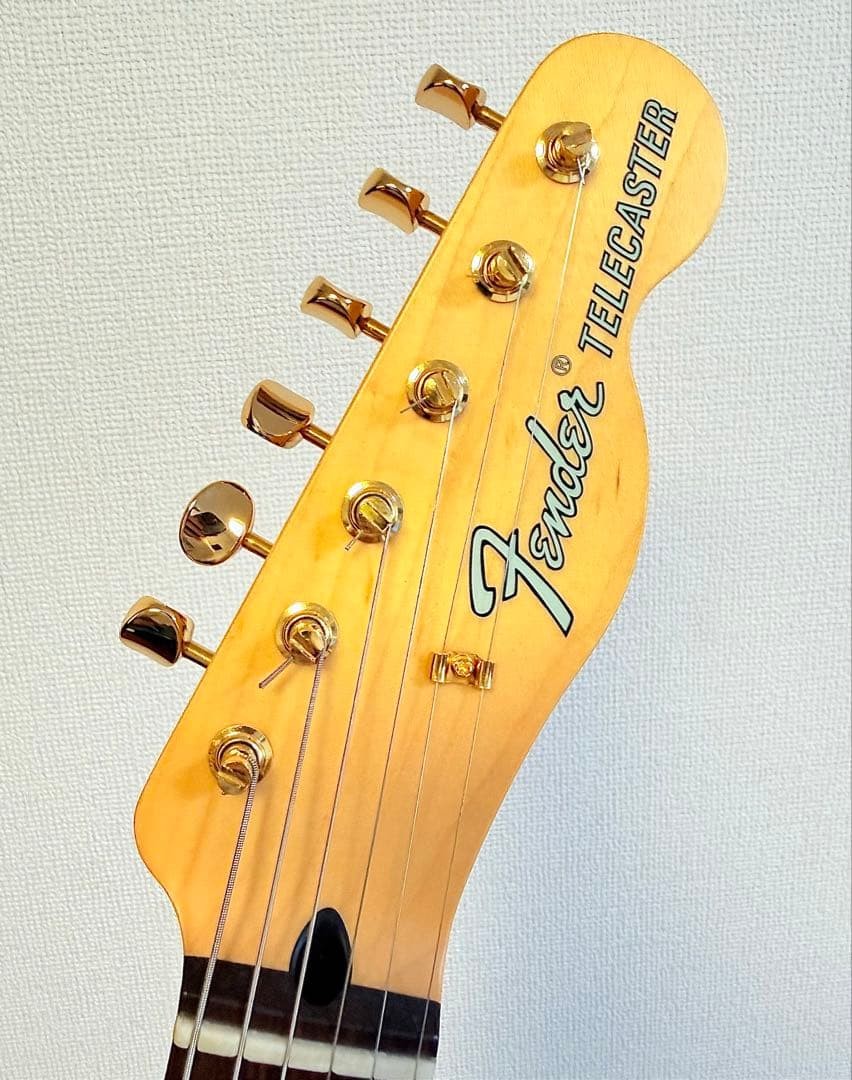 Fender Telecaster Thinline Harajuku Limited Gold Parts Kusumi No.MG293