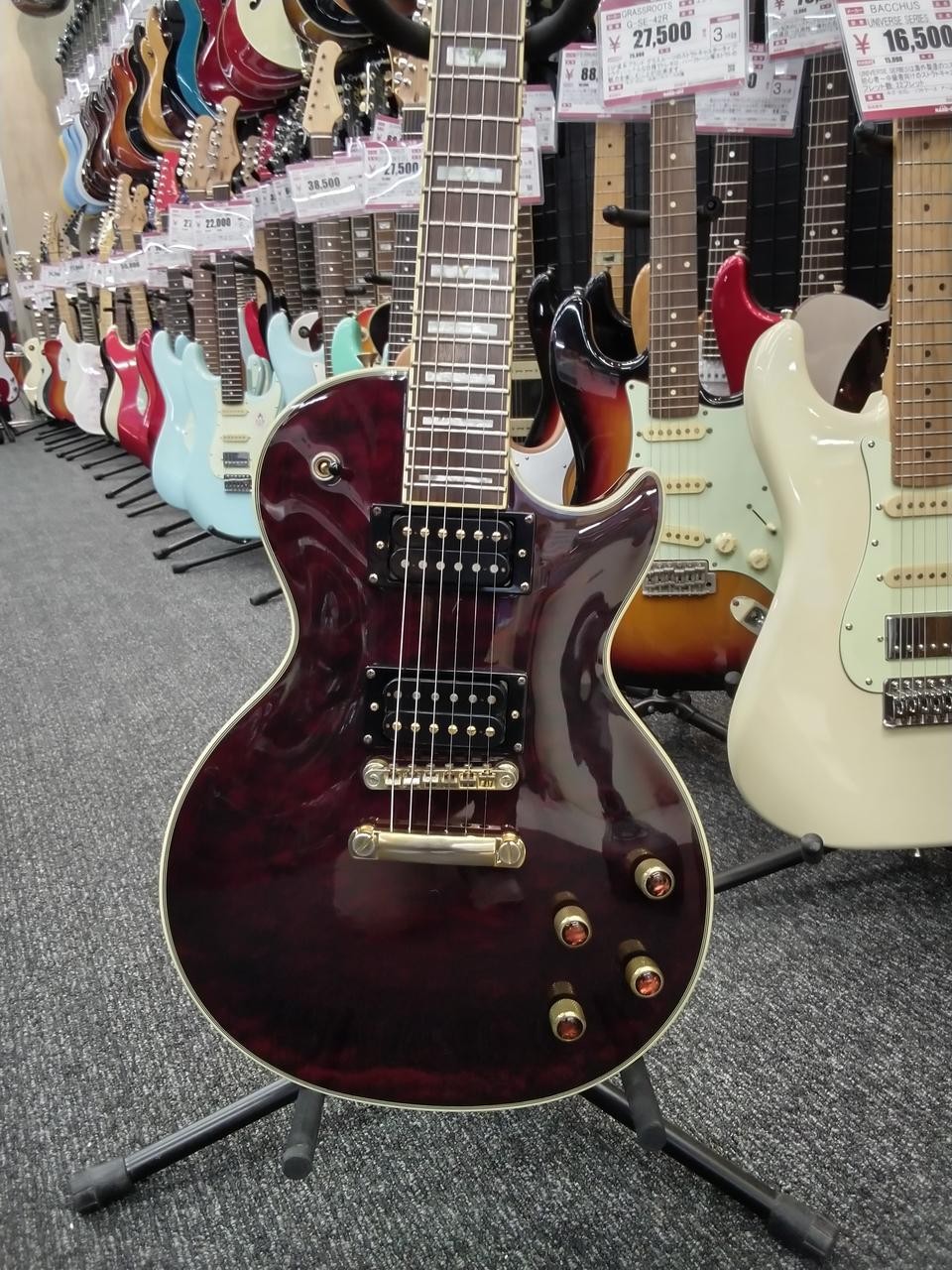 EPIPHONE LESPAUL USTOM PROPHECY PLUS Electric Guitar