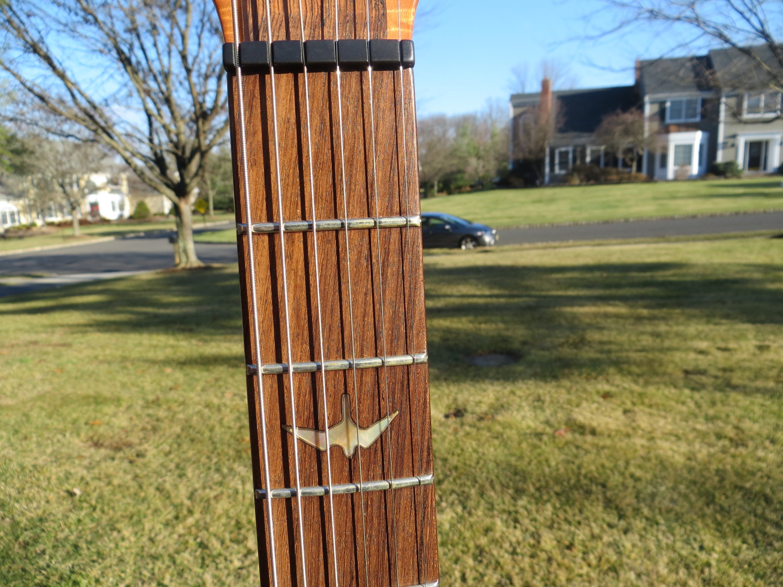 Prs Private Stock Custom 22 Smokey Blonde Flame Brazilian Fret Curly Maple 2008