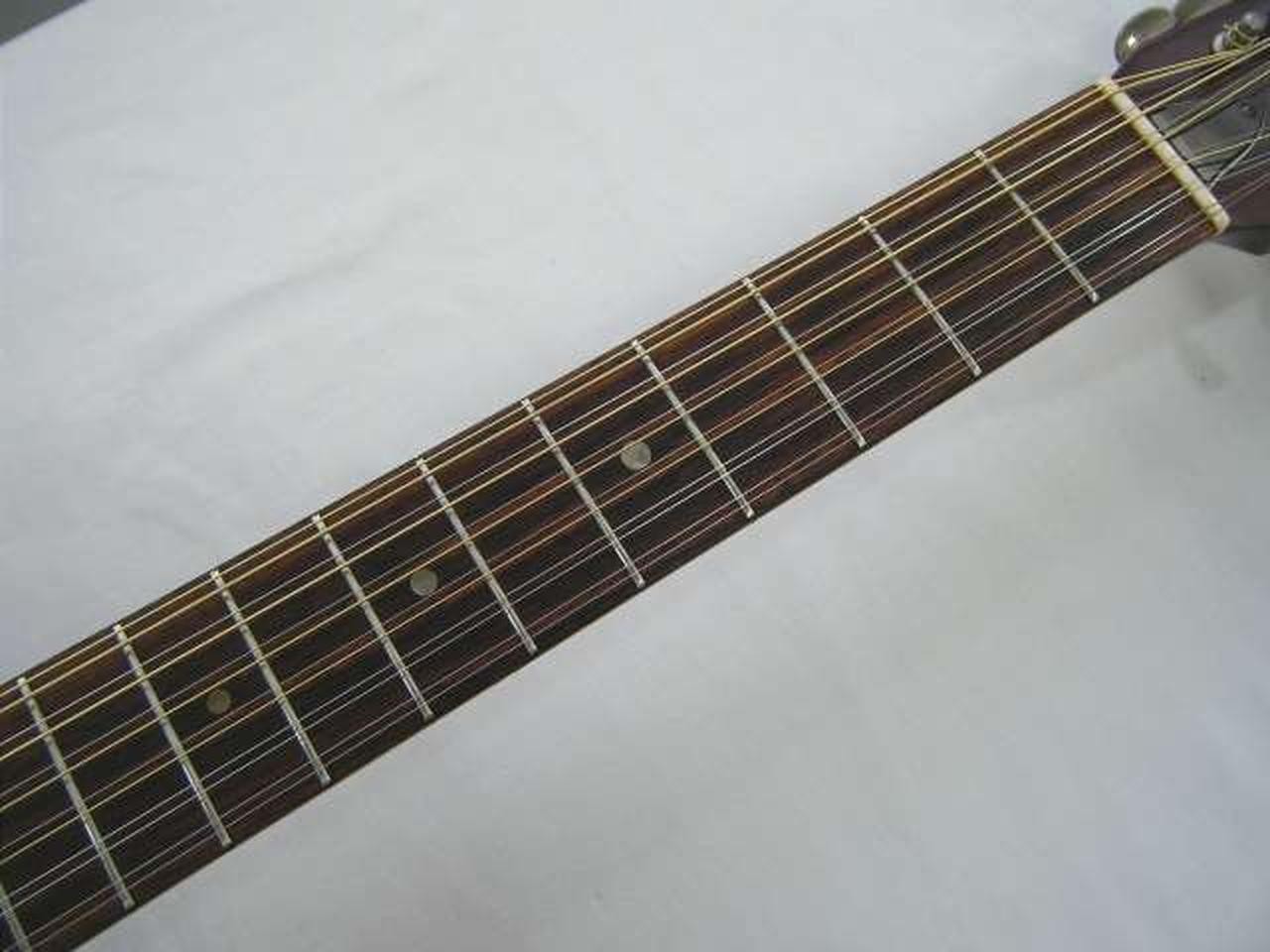 Takamine Elite WG20 MIJ 12-String Acoustic Guitar Vintage Japan