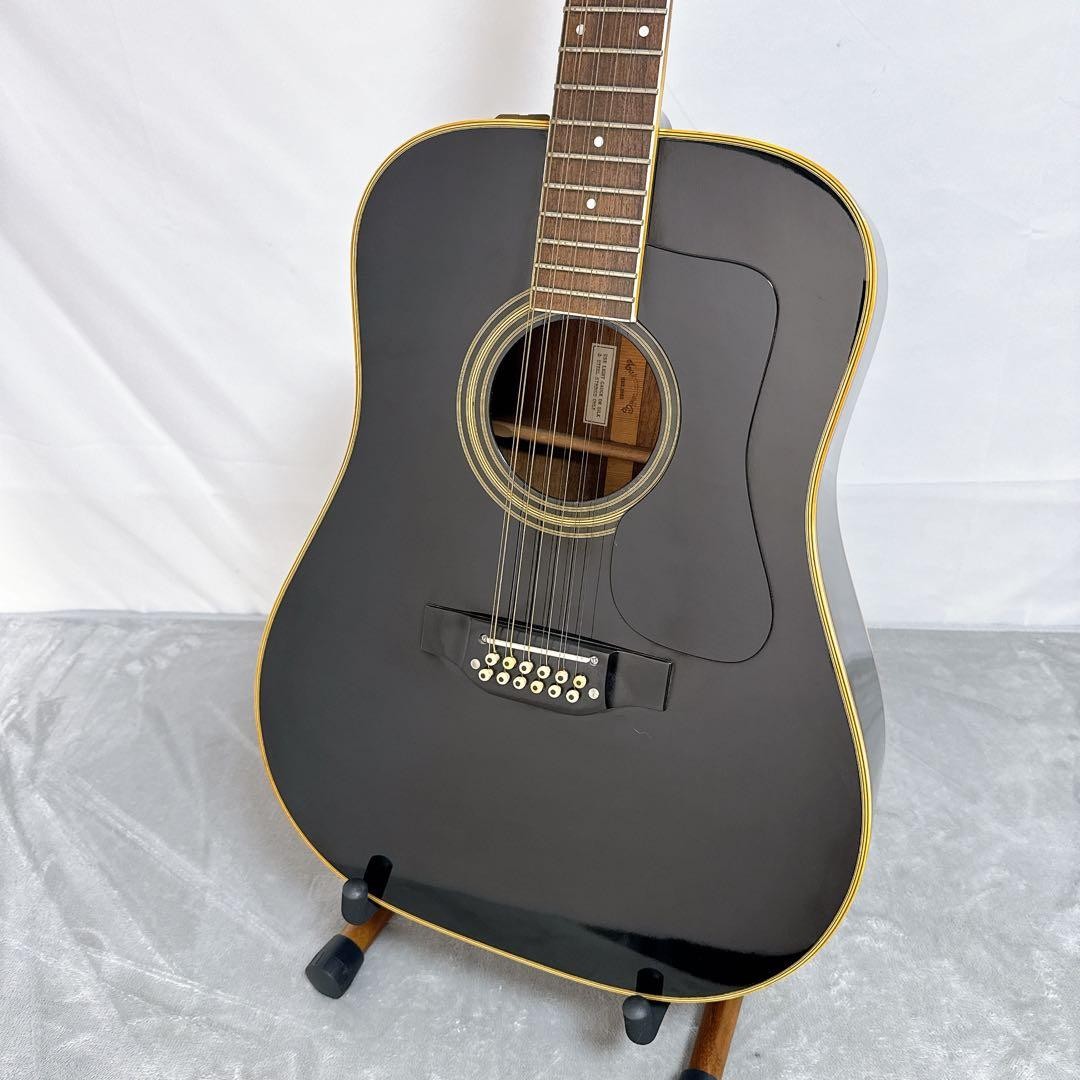 D01 Takamine Electric Acoustic 12 String Takamine 12 String Guitar Japan