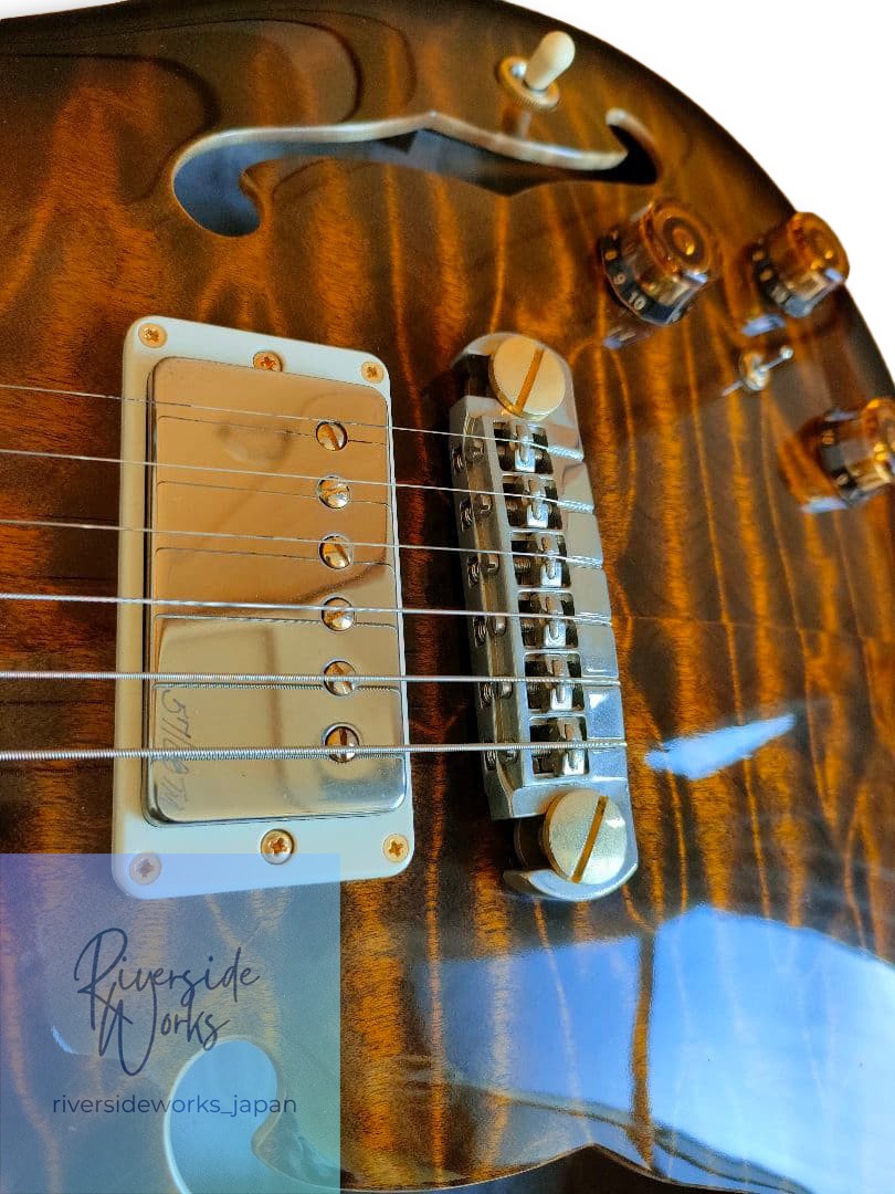 Paul Reed Smith Private Stock Jacaranda Hollow with Piezo