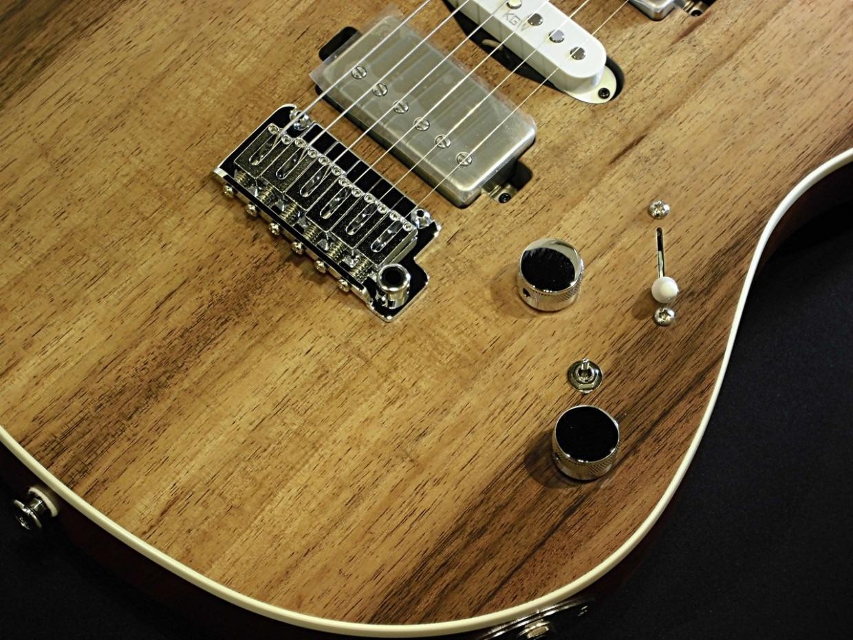 Kz Guitar Works Shin Kitaro Black Wood Top Electric Guitar HSH Pickups Used