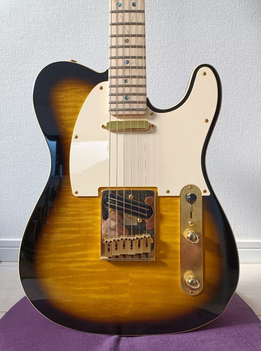 Fender Richie Kotzen Telecaster Electric Guitar Flame Maple Heather Tiger Condit