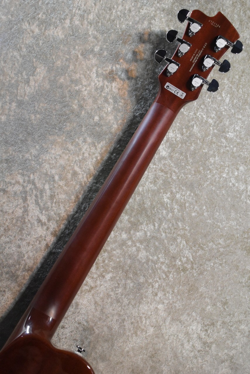 FUJIGEN(FGN) FGN EFL-FM/EB IB 3.95kg 2015 #GG27x