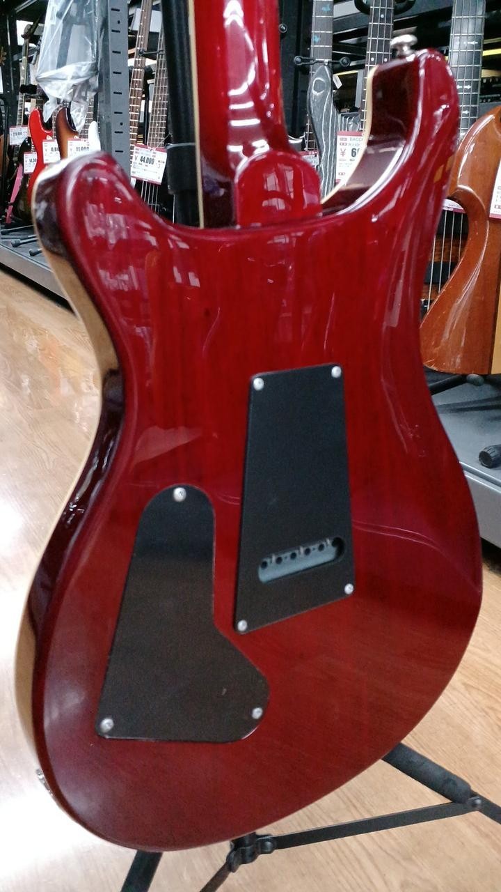 (PRS) SE STANDARD 24 Used Mahogany body Maple neck Rosewood fingerboard Softcase