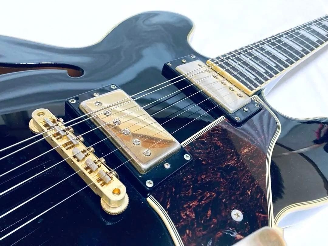 Epiphone Dot ES-355 EB Ebony Fretboard with Original Hard Case #QY903W