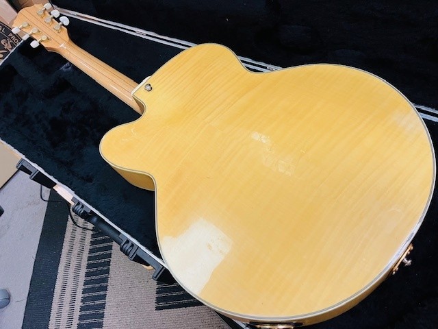 Ibanez Af105-Nt 1