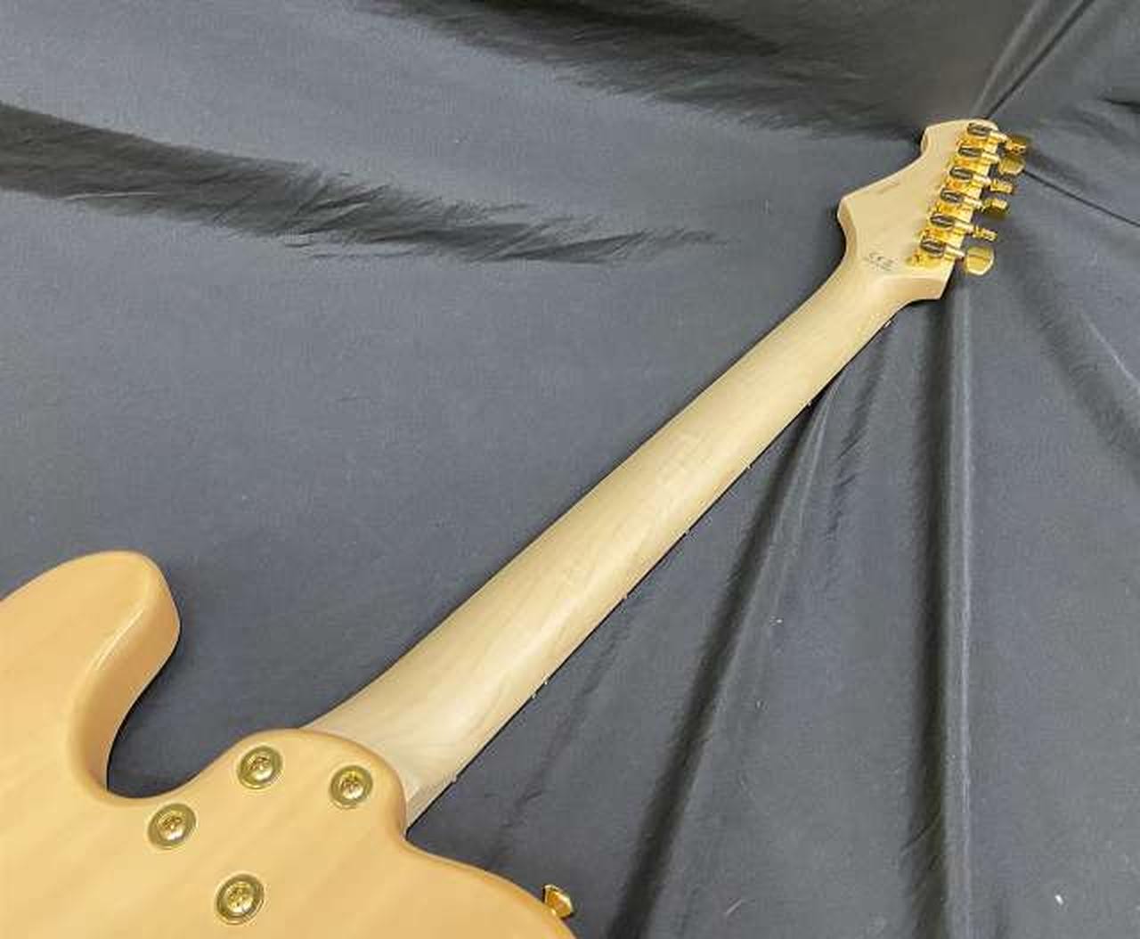 ARIA PRO II TEG-780 Used Electric Gutiar