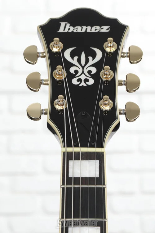 Ibanez Artcore Expressionist AG95QA Hollowbody Electric Guitar – Dark Brown
