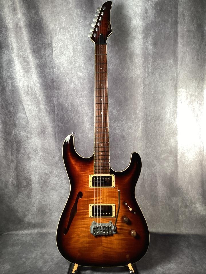 Combat ST-WARM Electric Guitar High-End Custom Model