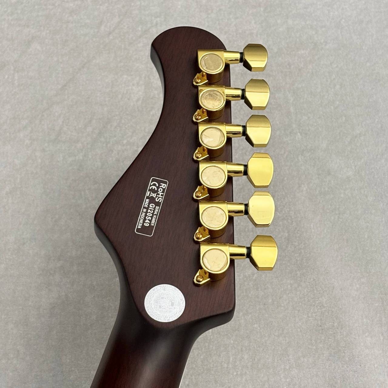 Bacchus Global Series BARON-CTM Alnico Black #GI20549 3.81kg P-90 type Guitar