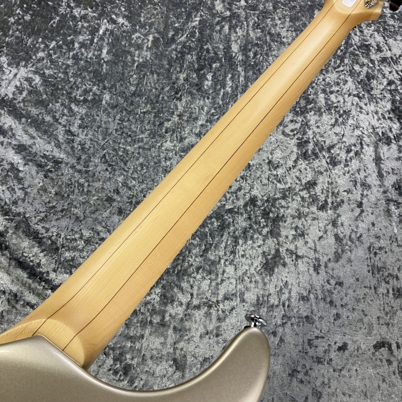 FUJIGEN(FGN) EEL-MH-TR/PLR [USED] w/hard case