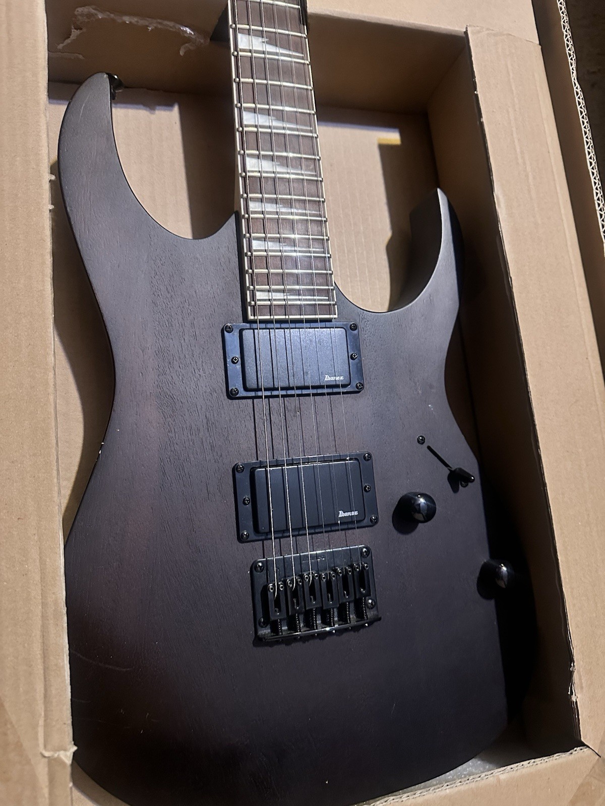 Ibanez Gio Wood Electric Guitar 6-String Right-Handed, Full-Size Instrument
