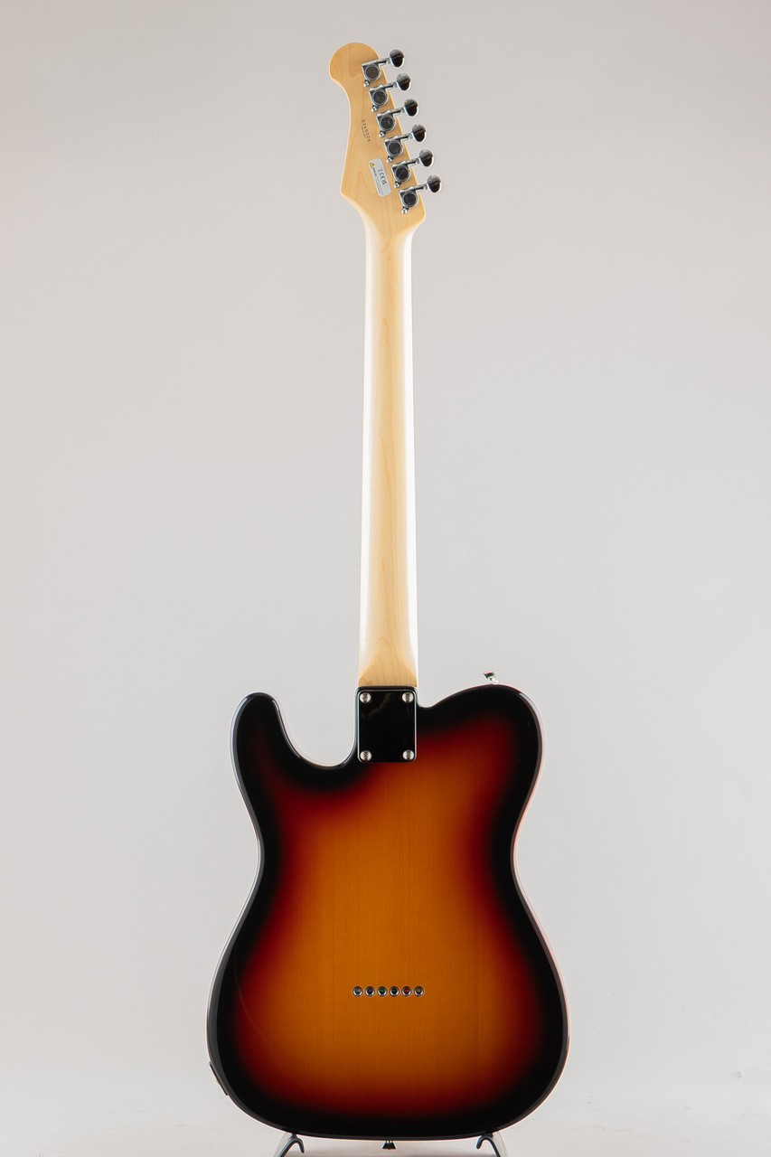 FUJIGEN FGN BCTE100RBD-3TS