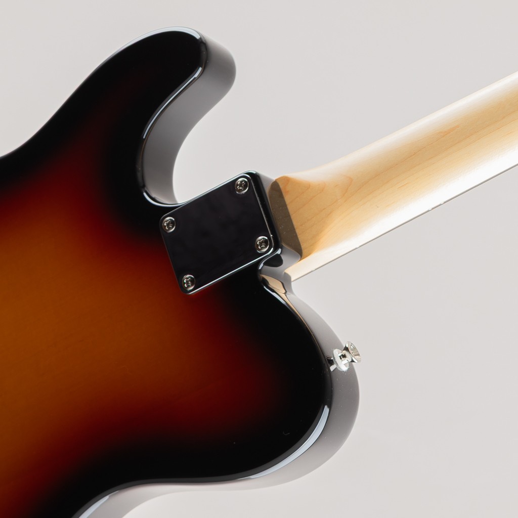 FUJIGEN FGN BCTE100RBD-3TS