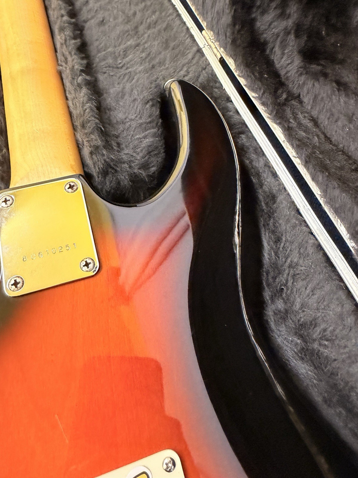 Peavey International Series Raptor 1 Electric Guitar With Hard Case
