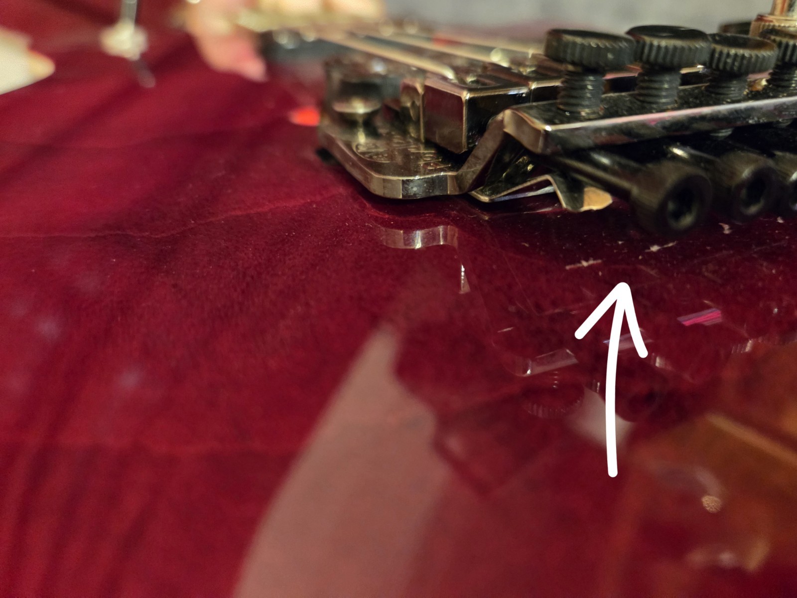 2024 EVH Wolfgang Standard QM -Red Wine
