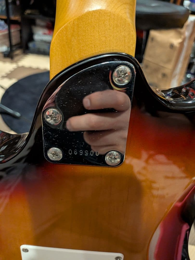 Super beautiful item, finest individual Aria Pro II FL-series