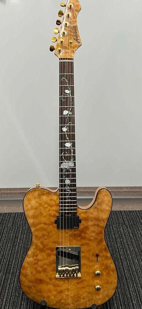 Aria Pro Ii Teg-780 Warranty With Genuine Gig Bag