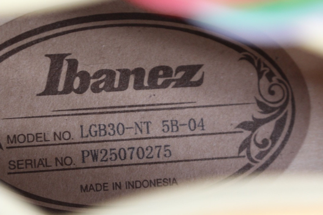 *PROJECT* Ibanez LGB30 George Benson Hollowbody Electric Guitar #R7907