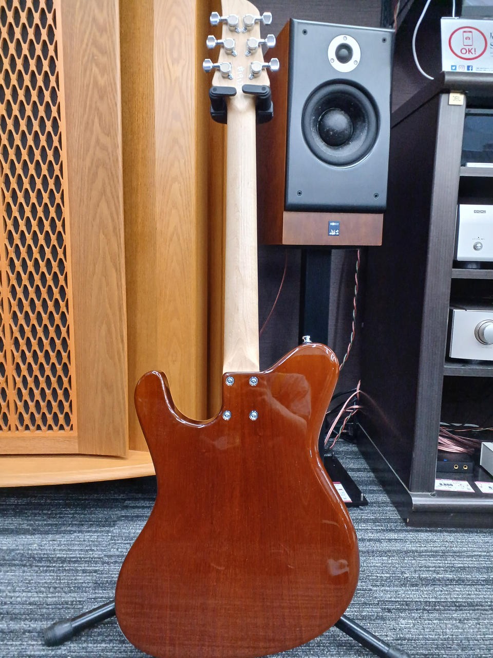 DRAGONFLY Border Custom 648 P-90 Electric Guitar