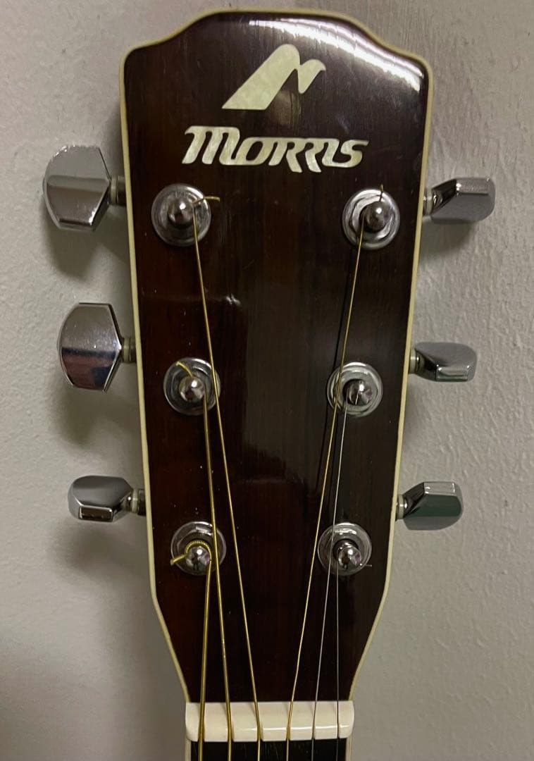 Extremely loudMORRIS MF601Rare material Jacaranda acoustic guitar
