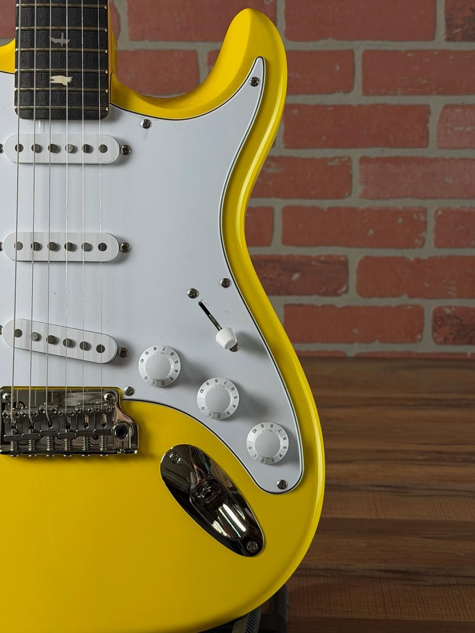 PRS SE Silver Sky Rosewood Fingerboard Electric Guitar – Dandy Lion