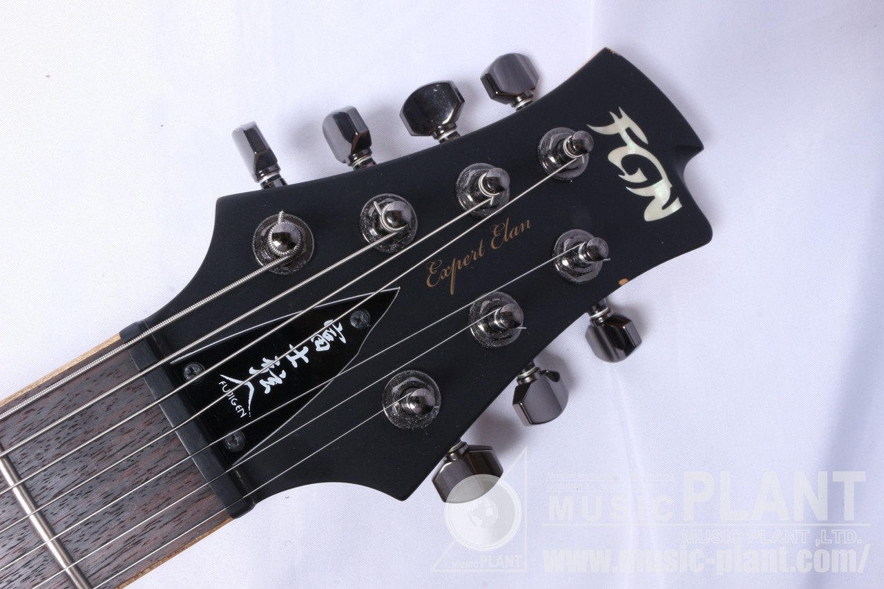 FUJIGEN FGN EEL-DE-7 FRKM 13