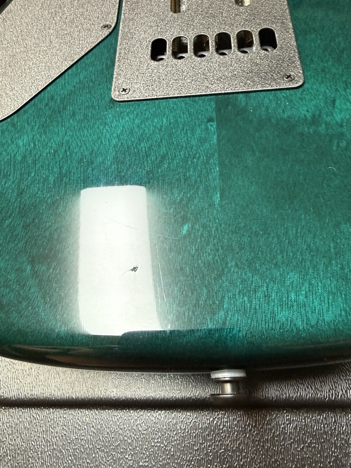 2021 Ernie Ball Sabre- Gator Burst