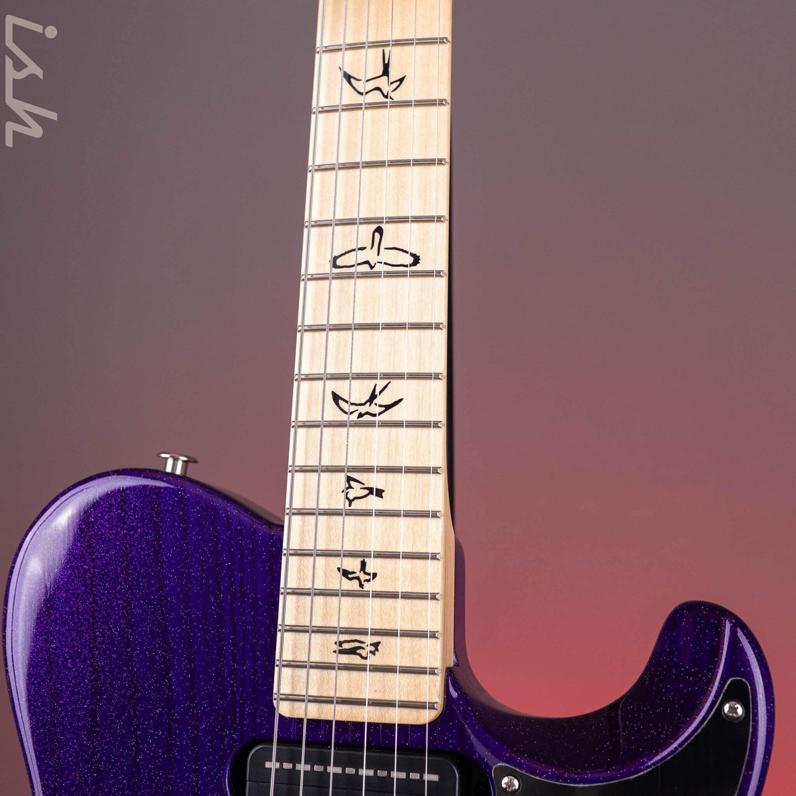 PRS NF 53 Sprayer’s Choice Royal Purple Holoflake