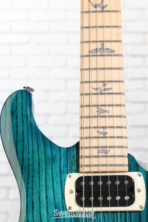 PRS SE Swamp Ash Special Electric Guitar – Iri Blue