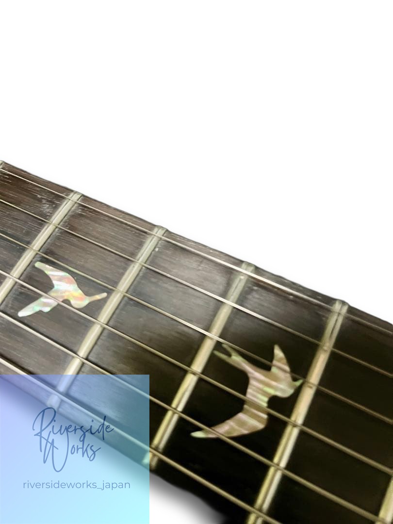 PRS Custom 22 2012 Limited Rare Color Ebony Fretboard