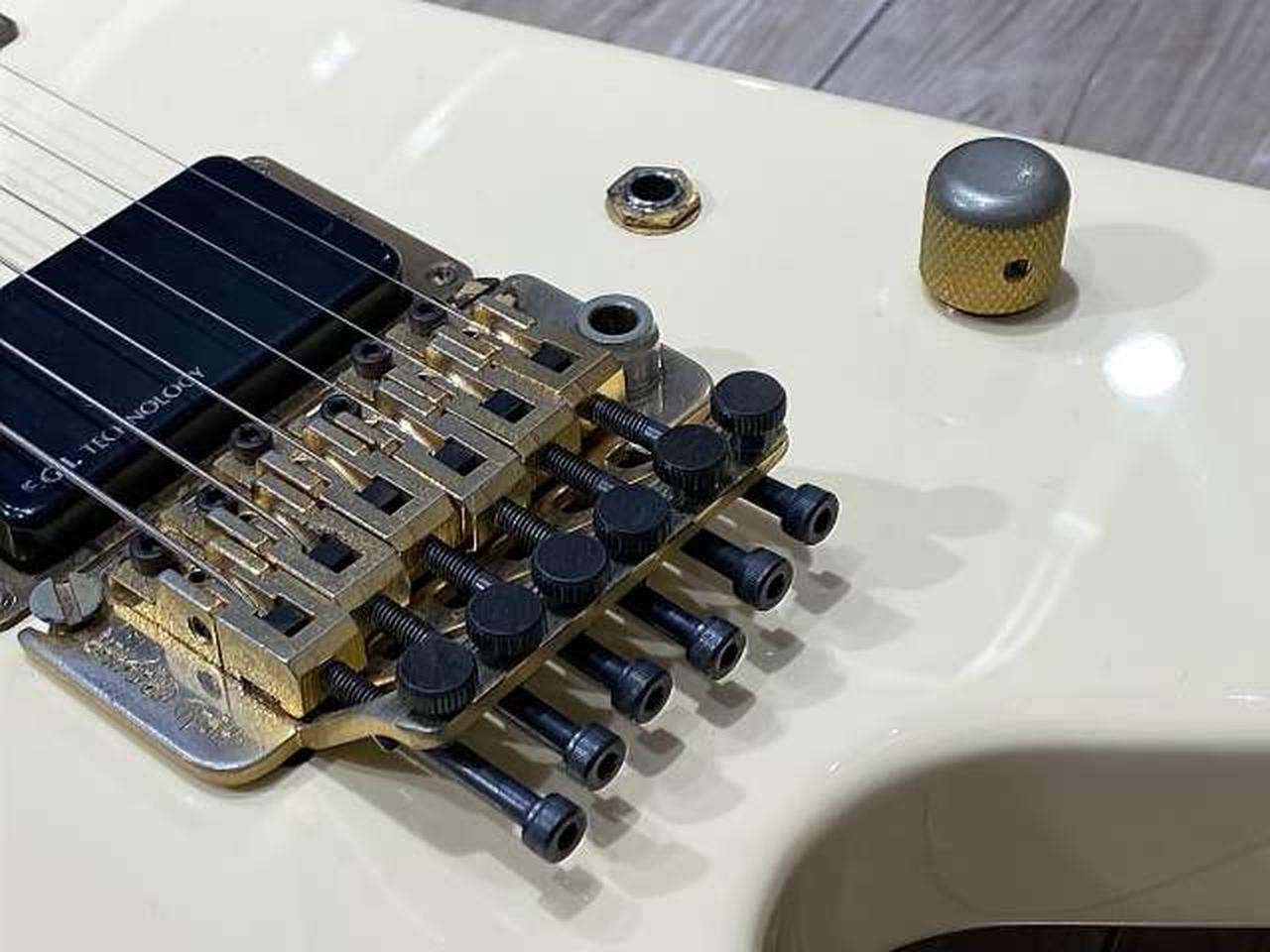 FERNANDES / BSV-80J (no260705)