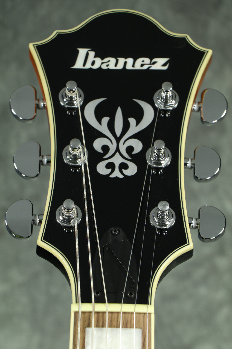 Ibanez AF75-BS Brown Sunburst with gig bag