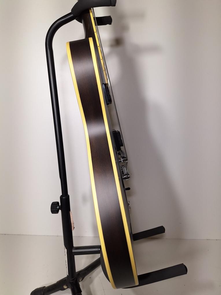 IBANEZ AS53-TKF 5B-04 (P15027748)