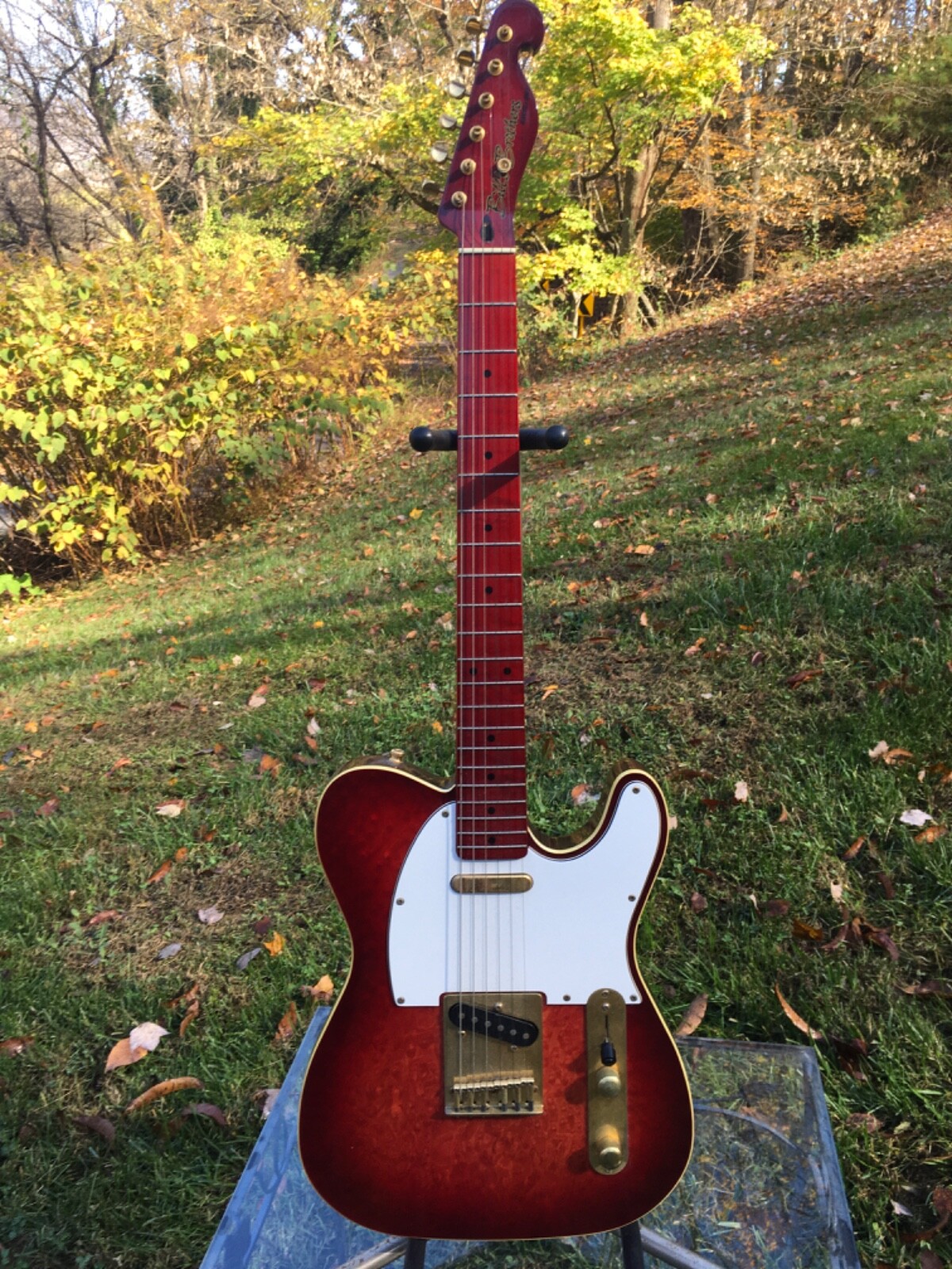 Bill’s Brothers , ( Bill Lawrence) Morris, Telecaster