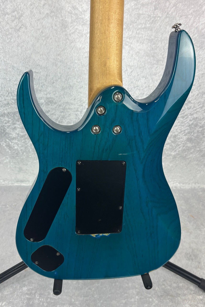 Ed Roman Scorpion Picasso electric guitar with case