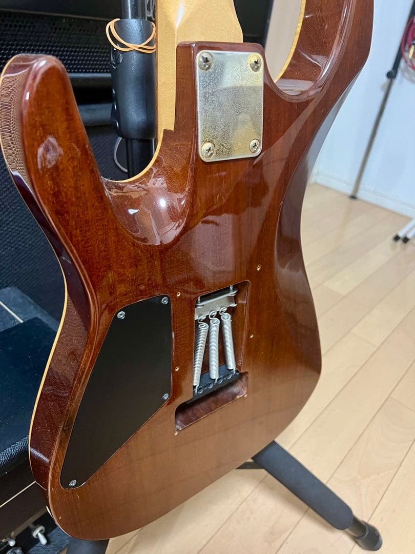 Dragonfly HI-STA Flame Maple Top Mahogany Back Paroid Fretboard Guitar