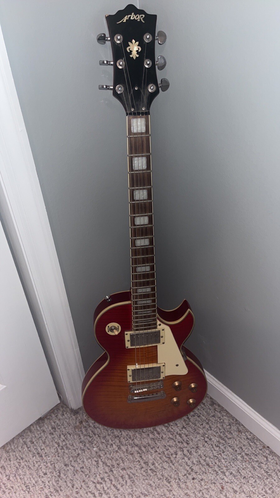 Arbor 6 string electric guitar