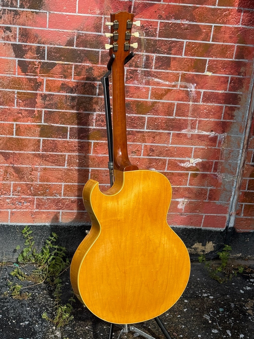 1961 Gibson ES-175DN ultra rare & clean Blonde w/2 PAF pickups w/wide flat neck.