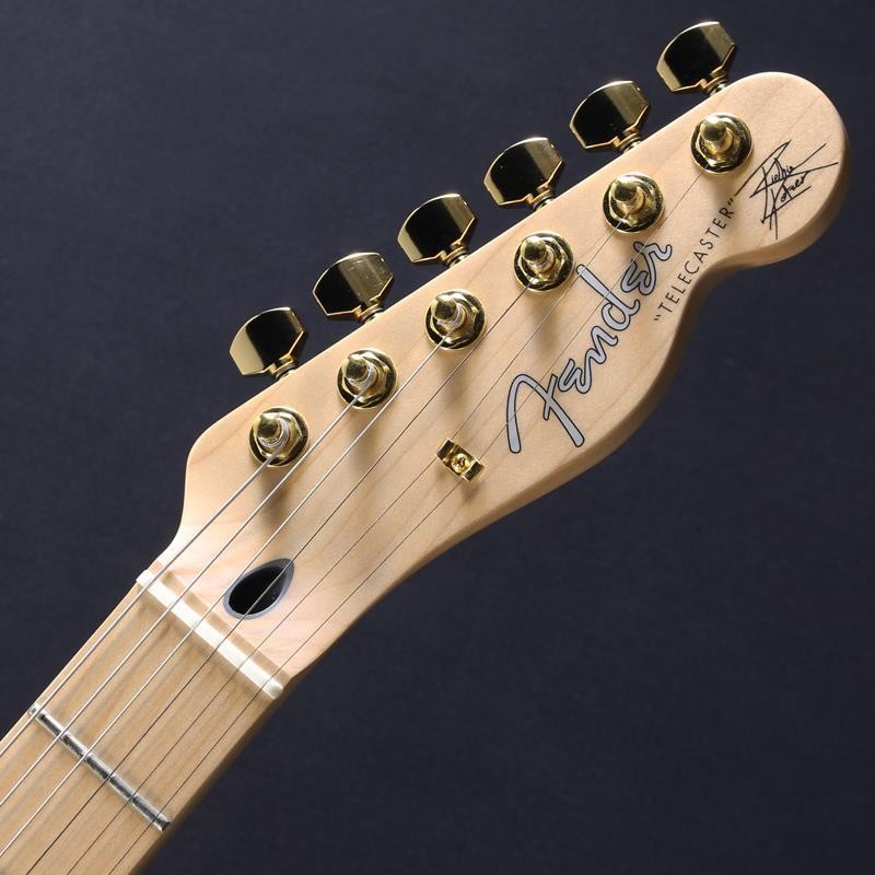 Fender Richie Kotzen Telecaster Brown Sunburst Used with Case