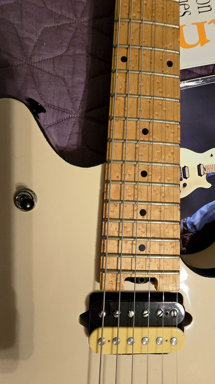 Peavey Wolfgang VH #38 August 1996 Ivory Birdseye Maple OHSC