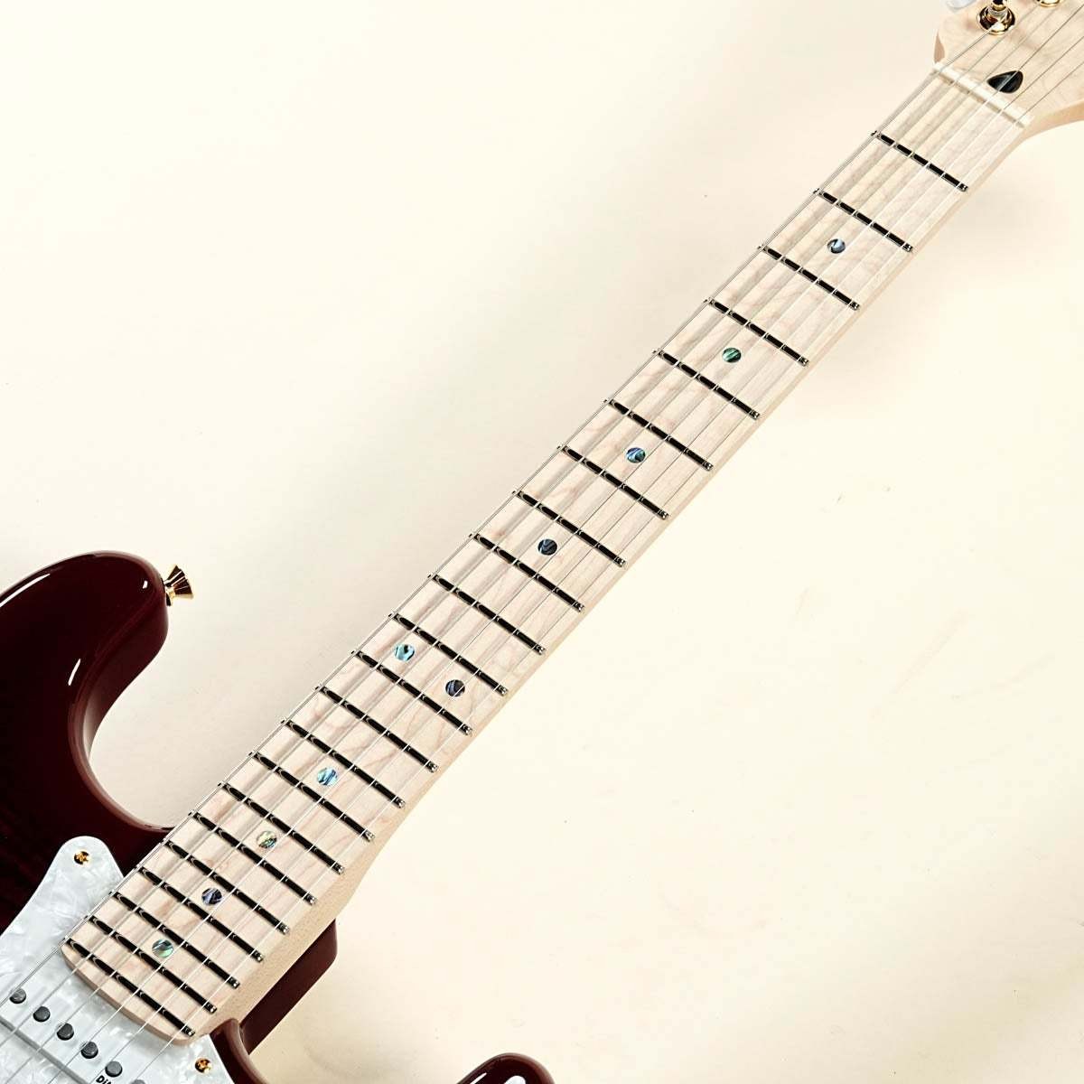Fender Japan Richie Kotzen Stratocaster Transparent Red Used