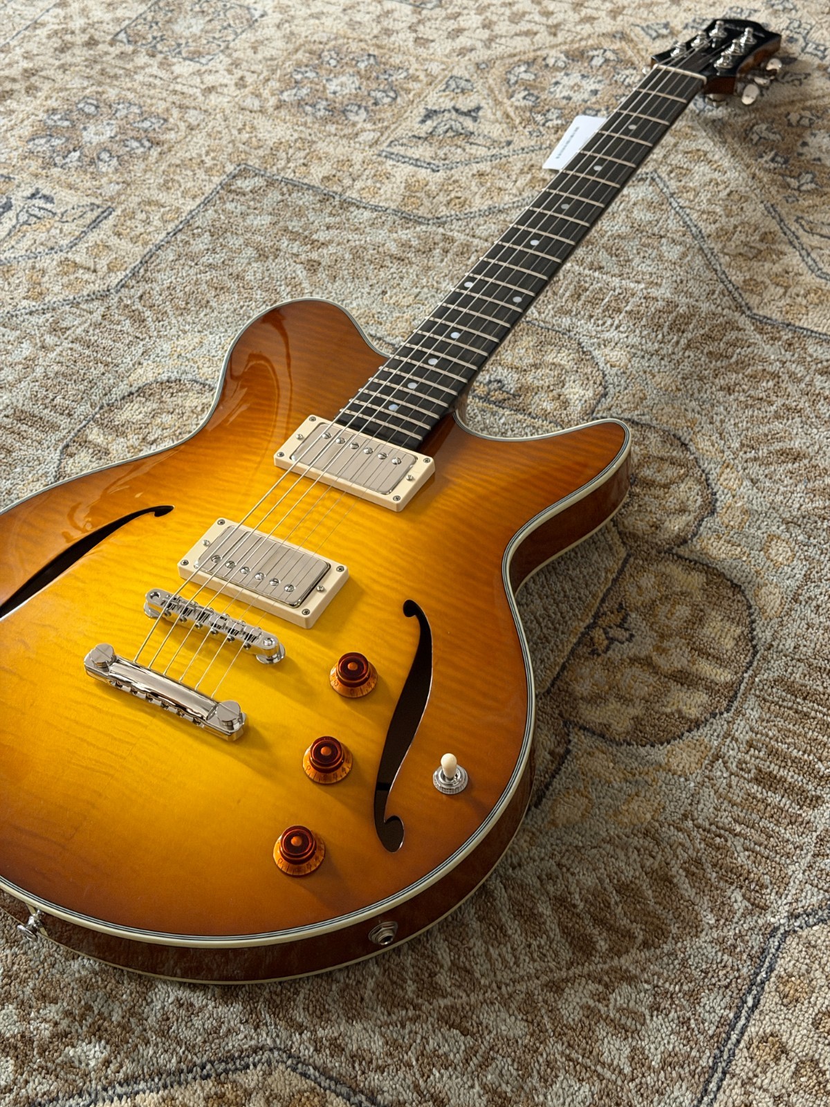 Eastman Romeo-California w/ Bare Knuckle Pickups Thinline w/ Case & Pro Setup!